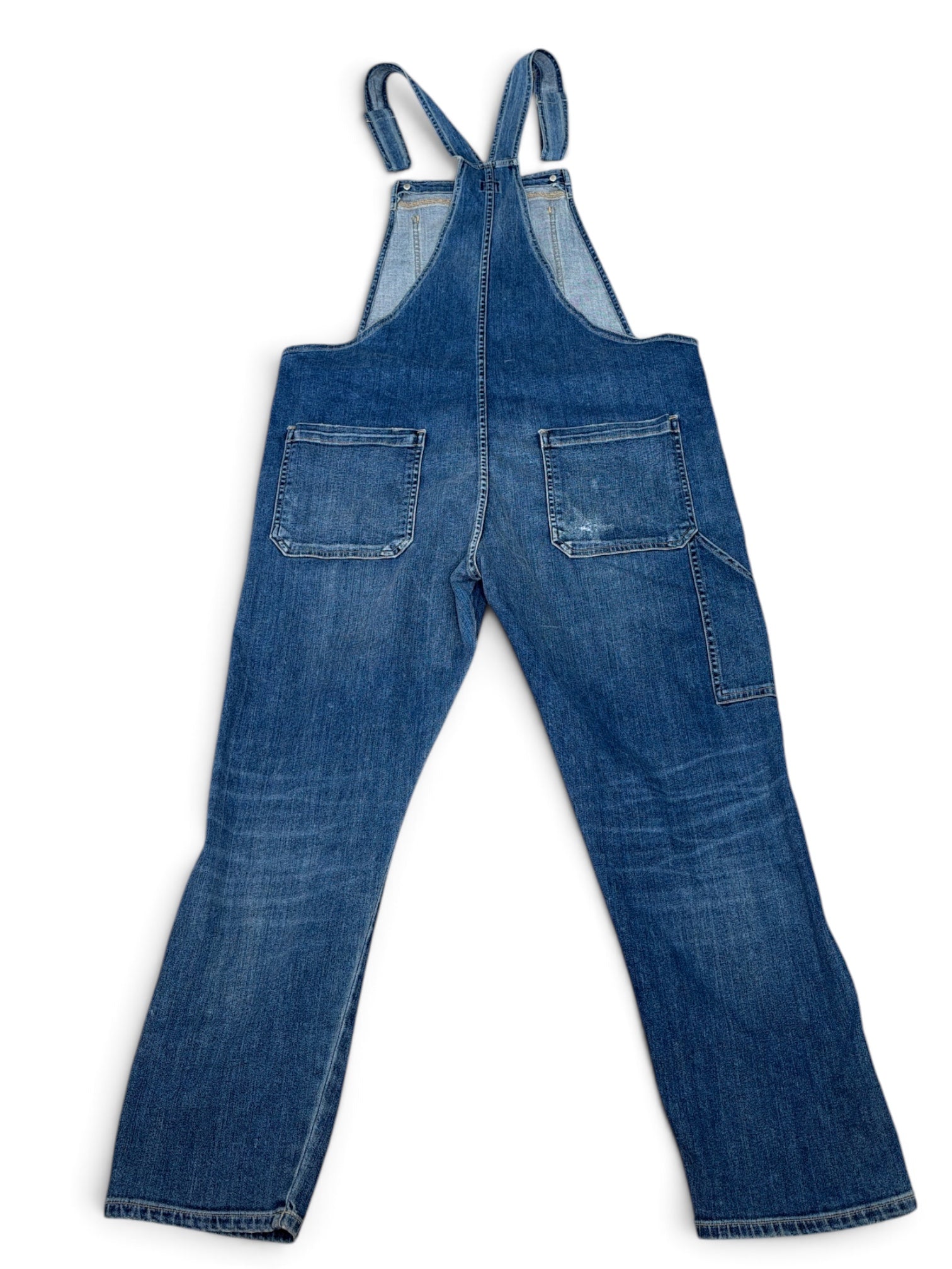 Citizens of Humanity/Anthropologie Distressed Overalls